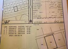 طيمسا 1 موقع ممتاز طيمسا 1 موقع ممتاز
