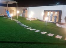 Green carpet Green carpet