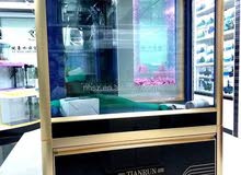 حوض اسماك سامب نضيف حوض اسماك سامب نضيف