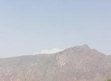 مطلوب تخليص معاملة مطلوب تخليص معاملة