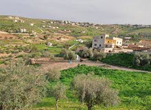 Farm Land for Sale in Zarqa Sarout