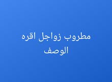 حمام البيع حمام البيع