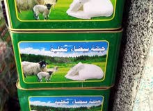 نصيه جبنه بيضاء مغليه نصيه جبنه بيضاء مغليه