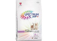 kittens food kittens food