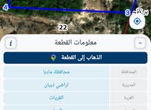 مزرعة جوافه