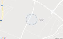 مطلوب ارض ظهر 2 او 1 بسعر السوق مطلوب ارض ظهر 2 او 1 بسعر السوق