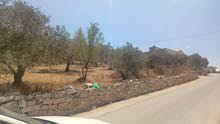 Mixed Use Land for Sale in Nablus Other