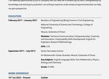 Fresh Civil Engineer Looking for a Job