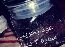 للبيع عود بحريني وغيره للبيع عود بحريني وغيره
