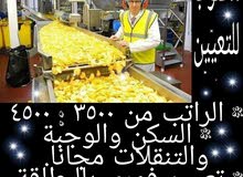 مطلوب للتعيين عمال إنتاج فى مصانع شيبسى مطلوب للتعيين عمال إنتاج فى مصانع شيبسى