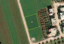Residential Land for Sale in Irbid Sal