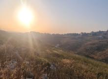 Residential Land for Sale in Nablus New Nablus