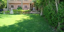 شقه ايجار لعرسان شقه ايجار لعرسان