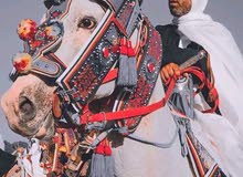 مطلوب تاكم فضي مطلوب تاكم فضي