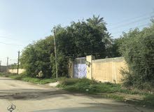 بستان للايجار في منطقة علي الصالح البيجية قرب المنصور محلة 404 بستان للايجار في منطقة علي الصالح البيجية قرب المنصور محلة 404
