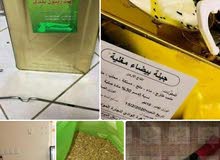 عروض غذائية عروض غذائية