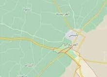 قطعه ارض مباني في طريق العاشر بلبيس قطعه ارض مباني في طريق العاشر بلبيس