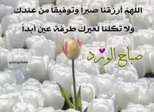 دور على شغل عنده لا يقصر صاحب عايله هذا رقمي واتساب دور على شغل عنده لا يقصر صاحب عايله هذا رقمي واتساب
