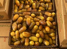 تمر متلبن تمر متلبن
