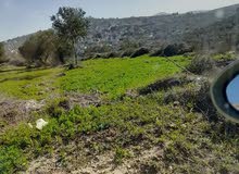 Mixed Use Land for Sale in Qalqilya Immatin