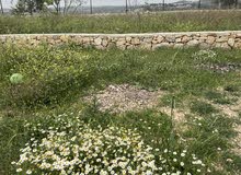 Residential Land for Sale in Ramallah and Al-Bireh Ein Arik