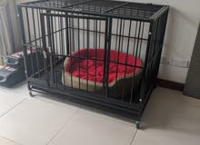 قفص للكلاب / Dog cage قفص للكلاب / Dog cage