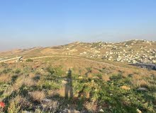 Residential Land for Sale in Zarqa Um Rummanah