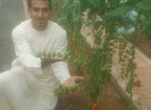 برافو لتركيب برافو لتركيب