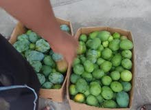 امبا أخضر امبا أخضر