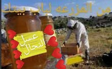 عسل النحال عسل طبيعي 100/100 من اجود انواع العسل