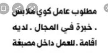 مطلوب عامل مصبغة مطلوب عامل مصبغة
