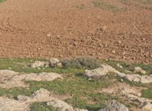 Mixed Use Land for Sale in Hebron Ad-Dhahiriya