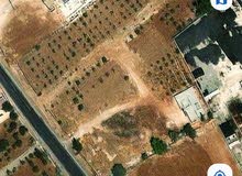 Residential Land for Sale in Amman Salem