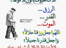 مختص في تربية الدجاج اللاحم مختص في تربية الدجاج اللاحم