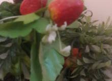FlowerVass big مزهرية FlowerVass big مزهرية