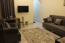 Furnished Daily in Al Batinah Saham