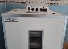 فقاصة بيض كبيرة فقاصة بيض كبيرة