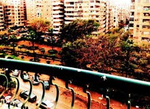 امتلك فى مصر شقه متميزه قرب النادى الاهلى واحصل على ارباح مجزيه شهريه وجراج امتلك فى مصر شقه متميزه قرب النادى الاهلى واحصل على ارباح مجزيه شهريه وجراج