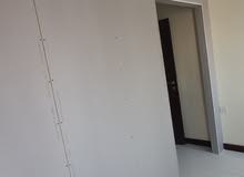 painting gypsum Carpenter services elections services home villa inside outside good service call me