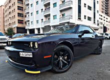 Muscle Car Dodge Challenger at 125/day!!!
