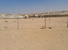 Mixed Use Land for Sale in Mafraq Al-Zaytouna