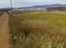 Commercial Land for Sale in Jenin Beit Qad