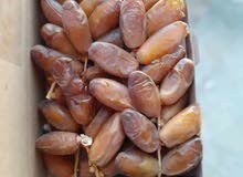 دقلة النور التونسية دقلة النور التونسية