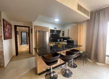 Furnished Monthly in Amman Abdoun