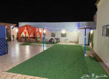 استراحه للإيجار بالحمدانيه استراحه للإيجار بالحمدانيه