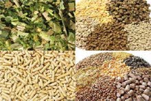 عرض خيالي في بيع جميع أنواع الاعلاف الحيوانية عرض خيالي في بيع جميع أنواع الاعلاف الحيوانية