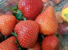 strawberry,,,,,, strawberry,,,,,,