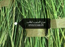 يوجد مرخ الجنوب طازه 100٪ يوجد مرخ الجنوب طازه 100٪