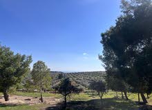 Farm Land for Sale in Jerash Other