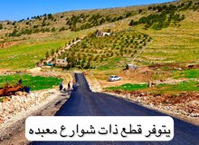 ارض نص دونم في بيرين جاهزه للبناء دفعه 3000 وشهري 200 جميع الخدمات منطقه سكنيه وشاليهات من المالك
